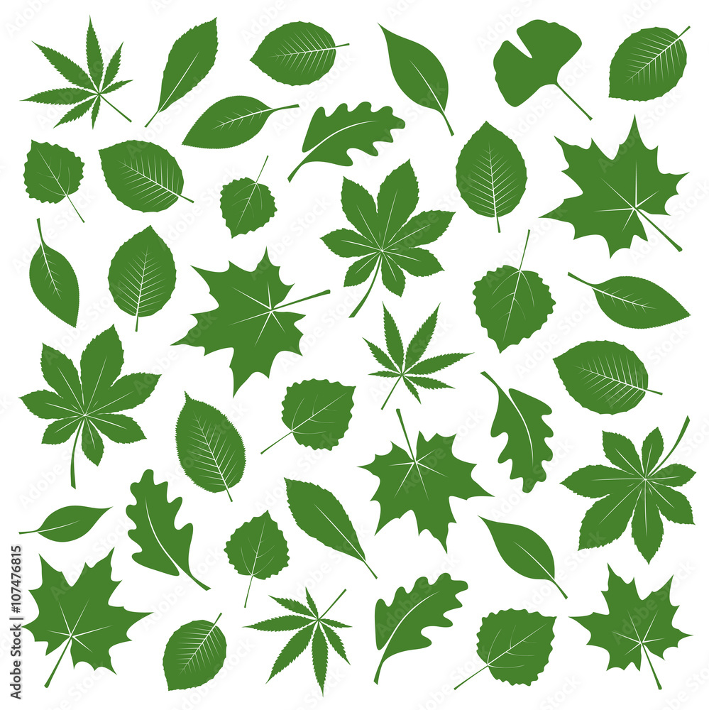 Collection of Black Leafs. Vector Illustration. Collection of Black Leafs. Vector Illustration.