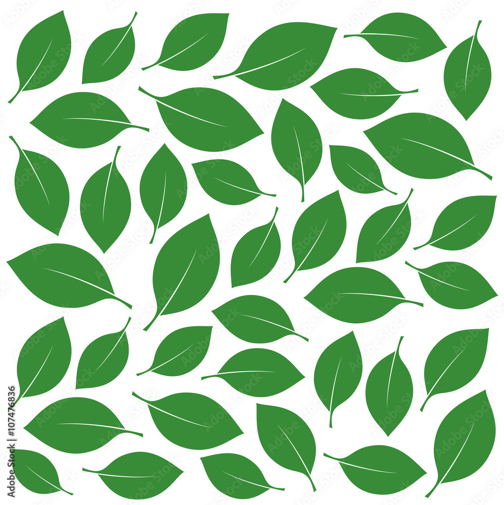 Composition of Green Leafs. Vector Illustration.