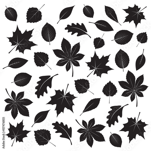 Collection of Black Leafs. Vector Illustration.