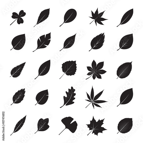Collection of Black Leafs. Vector Illustration.