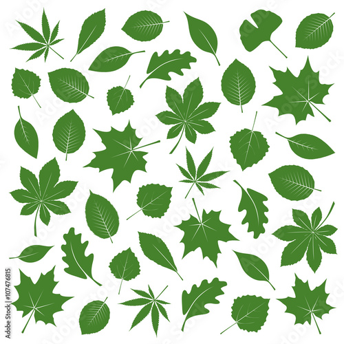 Collection of Black Leafs. Vector Illustration.