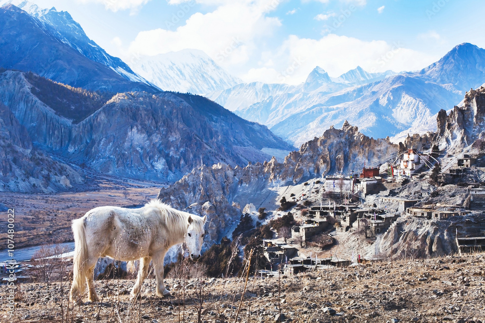 Photography Poster beautiful landscape from Nepal, Tibet, white