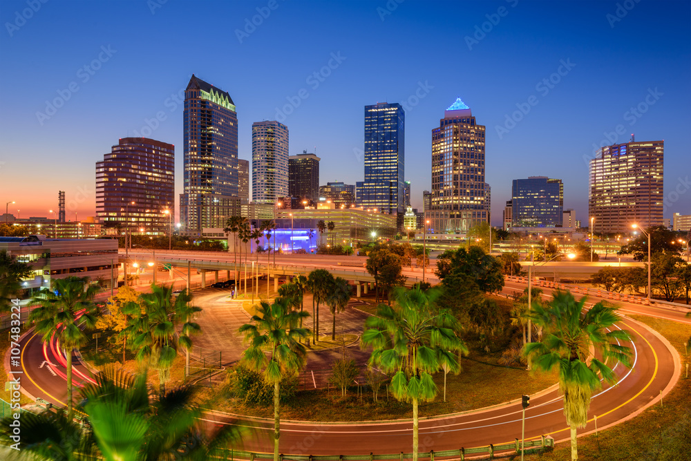 Fototapeta premium Tampa Florida Skyline