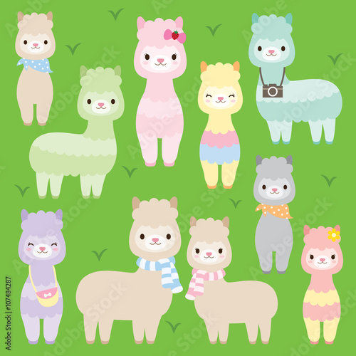 Vector illustration of cute alpacas or llamas in different colors.