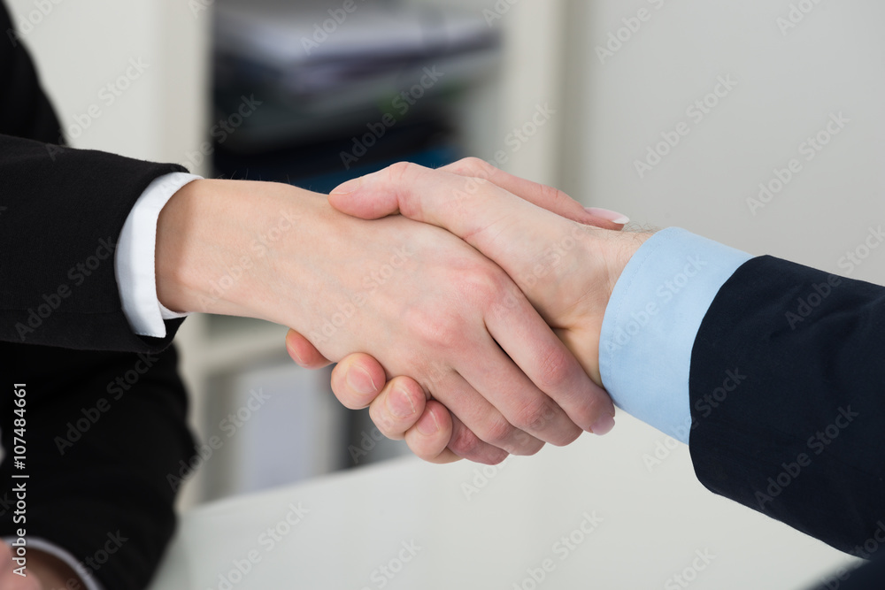 Two Businesspeople Shaking Hand
