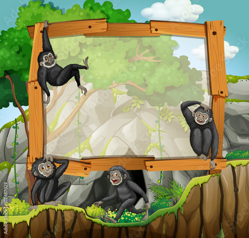 Frame design with gibbons at the cave