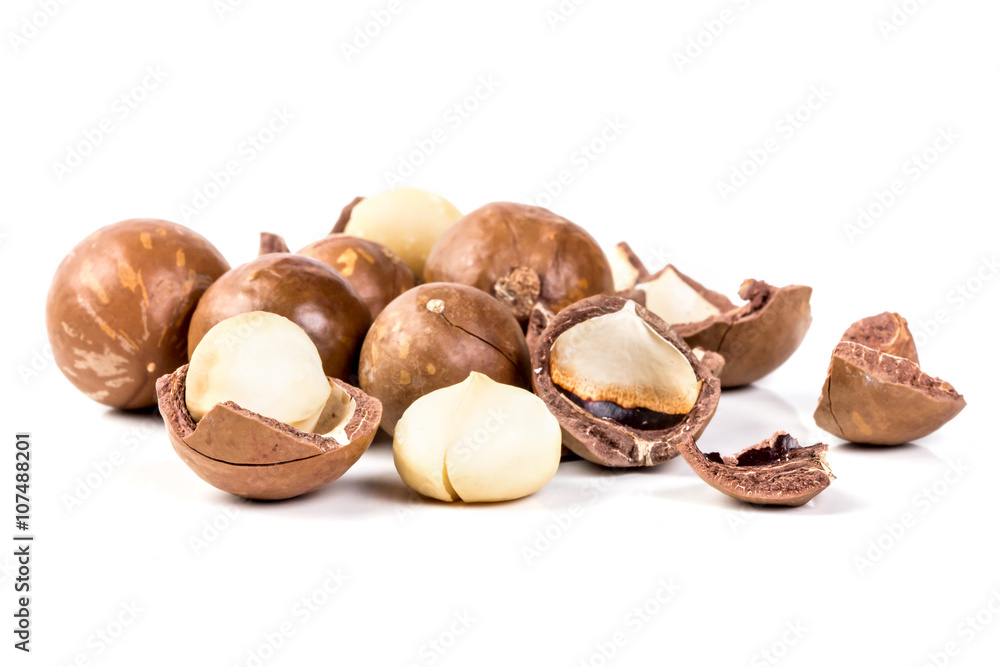 macadamia nuts on white background macadamia nuts on white background