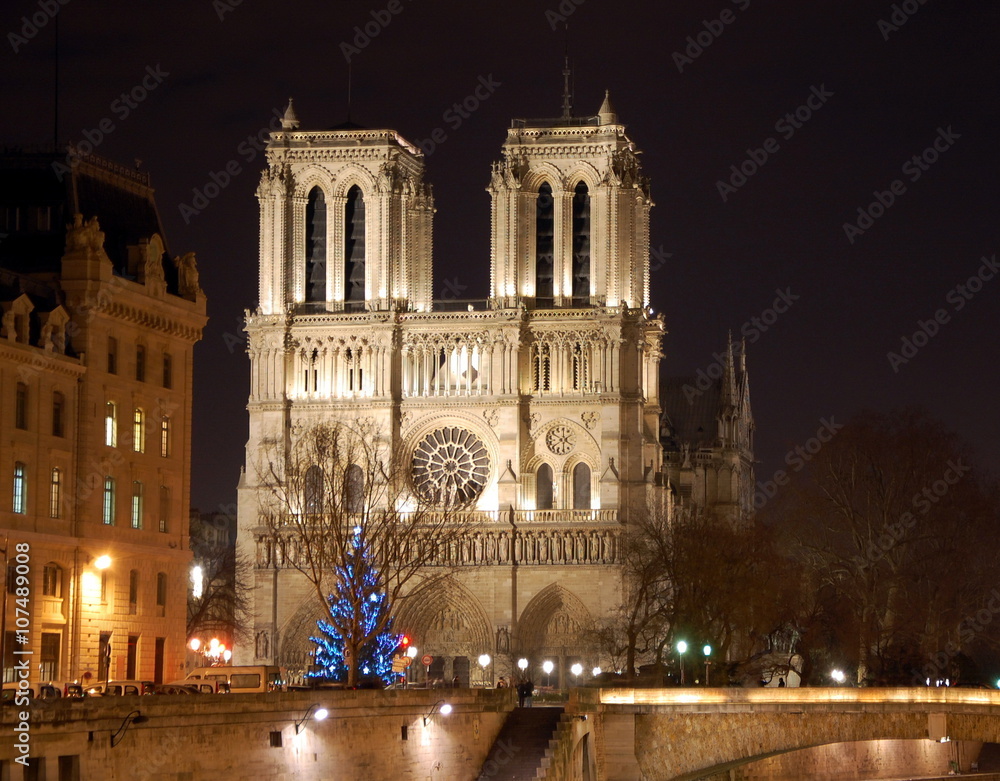 Christmas tree in front of Notre Dame Cathedral in Paris, France