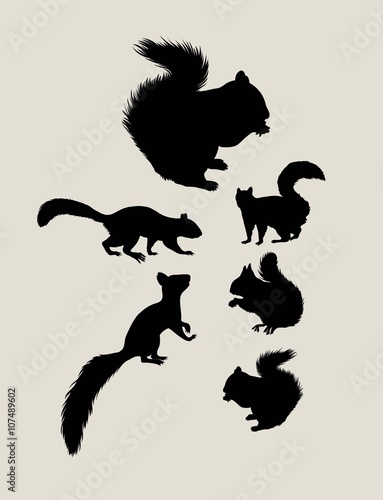Squirrels Silhouettes  art vector design