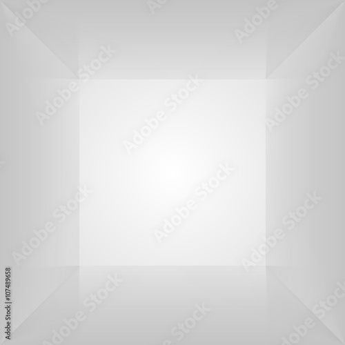 Vector box. Empty interior space. Photobox