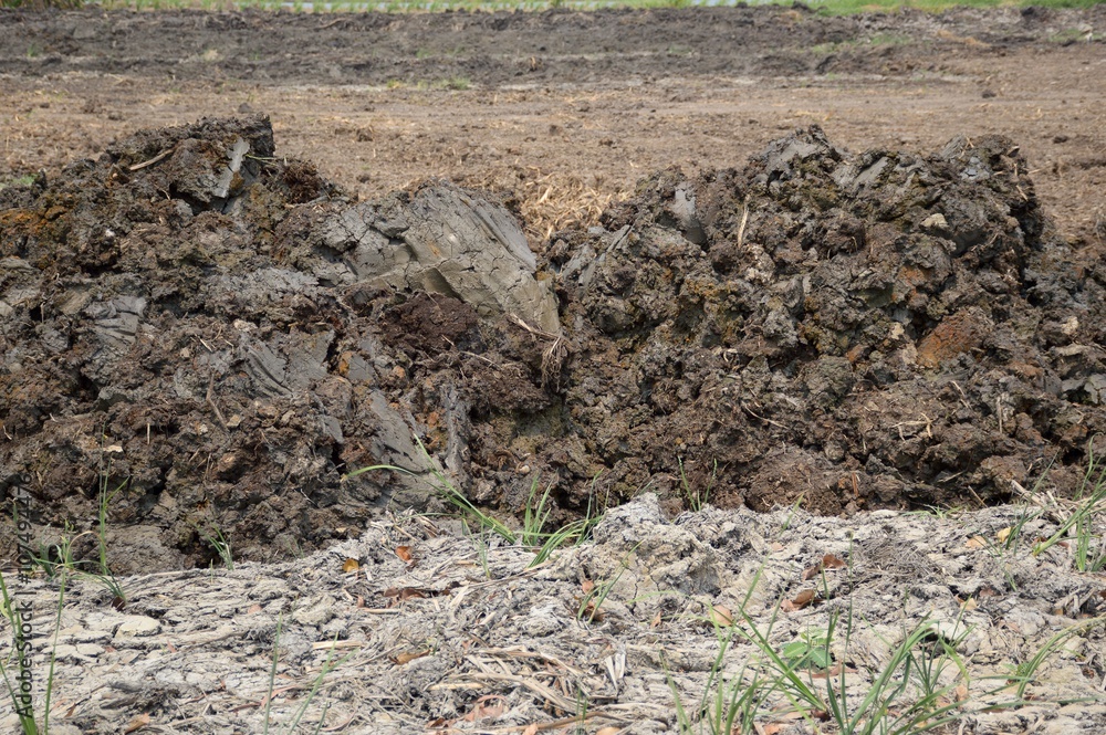 dry soil for agriculture in country Thailand dry soil for agriculture in country Thailand