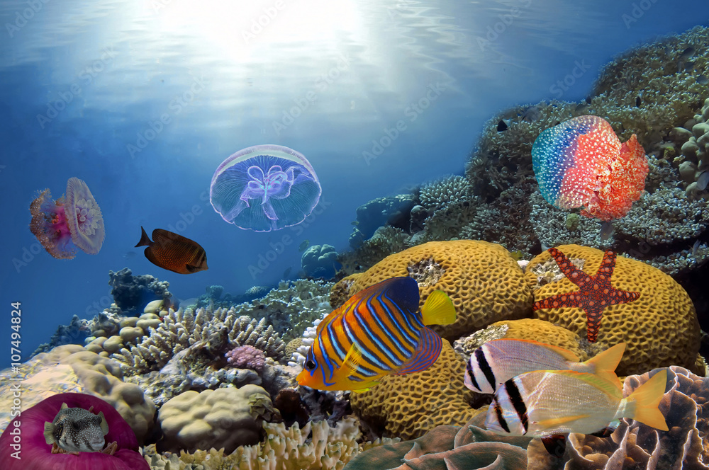 Fototapeta premium Colorful reef underwater landscape with fishes