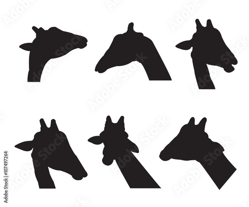 Giraffe Set Silhouettes on ...