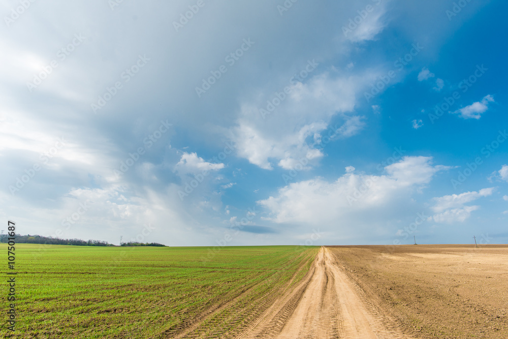 Cultivated green meadow. Rural scene. Country road under blue sky Cultivated green meadow. Rural scene. Country road under blue sky