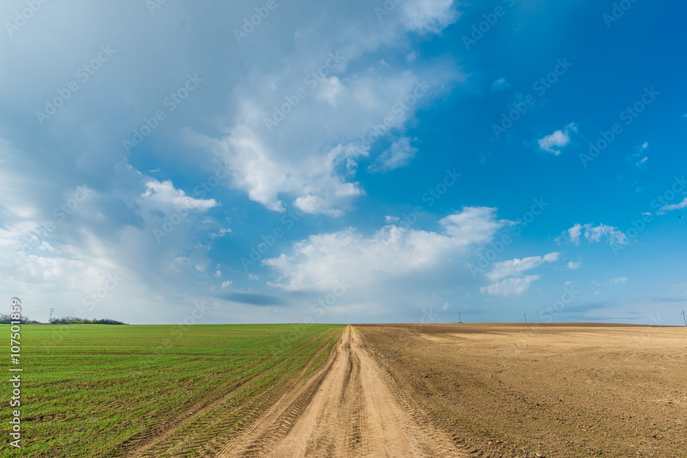 Cultivated green meadow. Rural scene. Country road under blue sky Cultivated green meadow. Rural scene. Country road under blue sky
