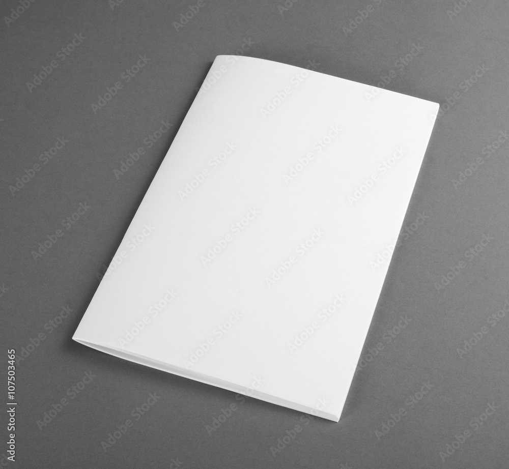 Blank catalog, brochure, magazines, book mock up
