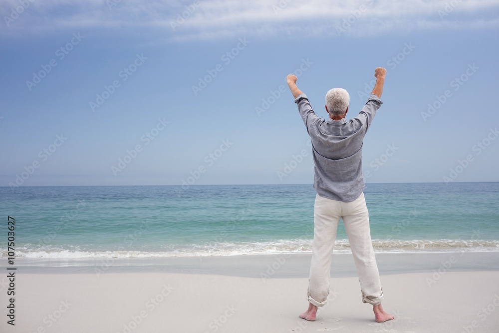 Rear view of senior man standing on the beach