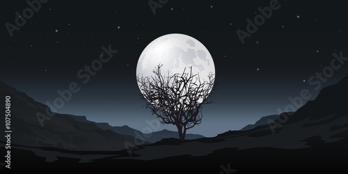 Clair de Lune - Arbre - méditation
