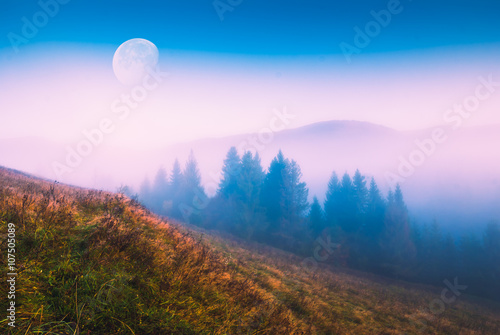 Great moon rising © Bashkatov