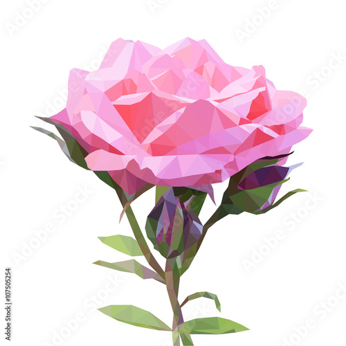 Beautiful pink rose in low poly style on white