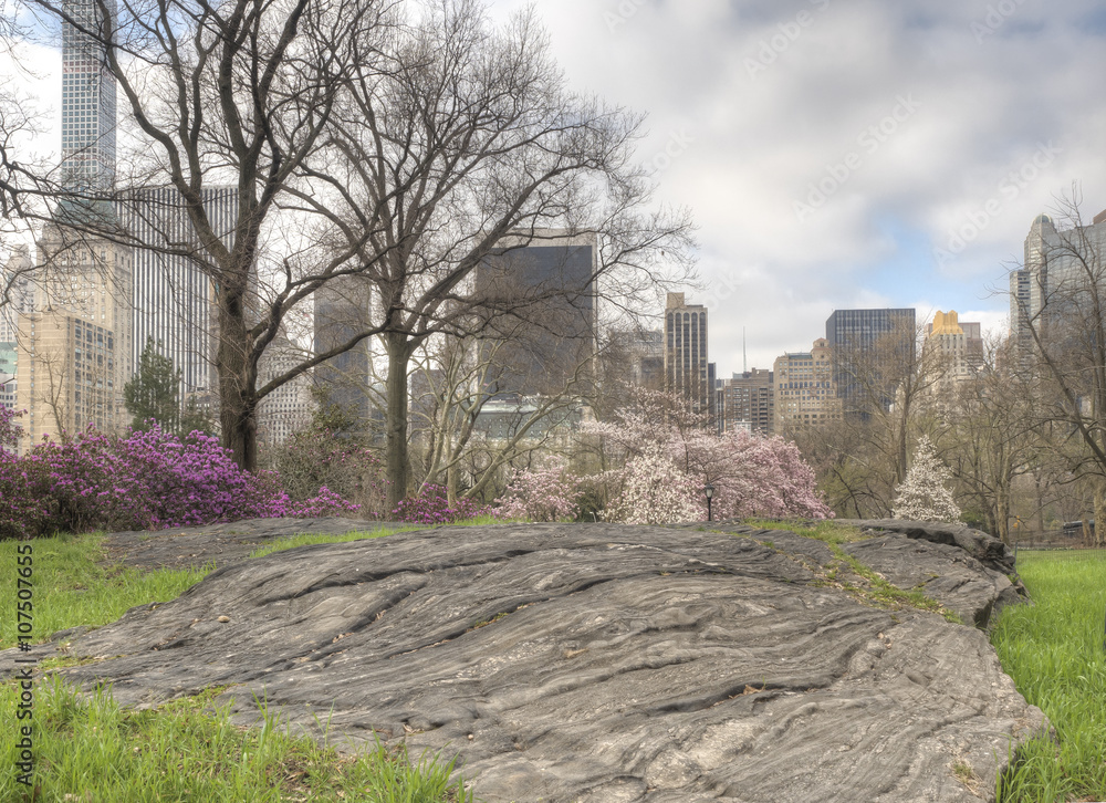 Fototapeta premium Central Park, New York City spring