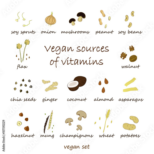 Vegan sources of vitamins ocher set. Healthy products. Food set.