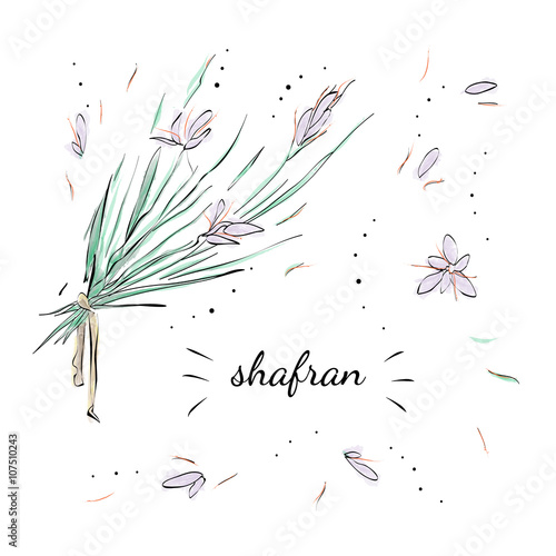 Watercolour leaves of spice shafran