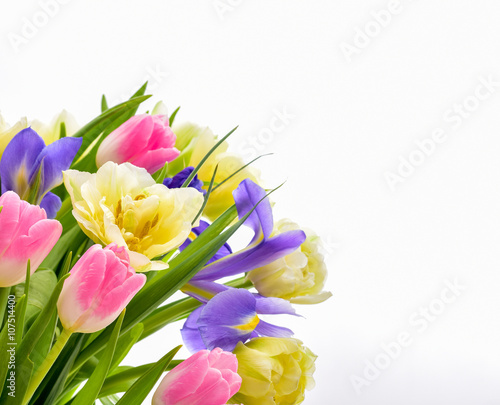 Fototapeta Naklejka Na Ścianę i Meble -  Spring Tulip Flowers over white. Tulips bunch. Springtime.