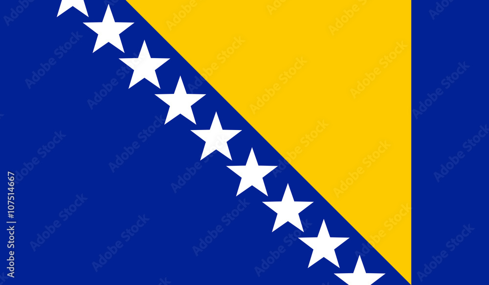 Naklejka premium Bosnia and Herzegovina Flag