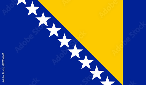 Bosnia and Herzegovina Flag photo