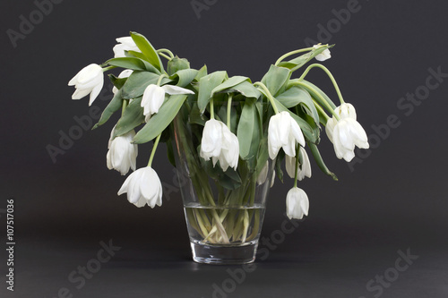 Fototapeta Naklejka Na Ścianę i Meble -  Vase full of droopy and dead flowers