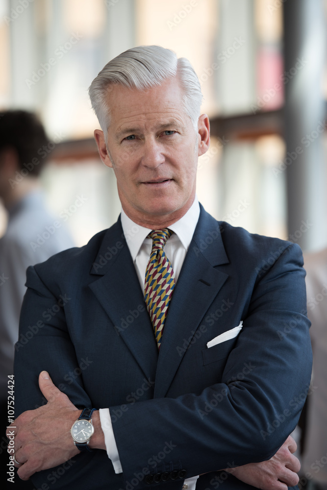 portrait of handsome senior business man at modern office portrait of handsome senior business man at modern office