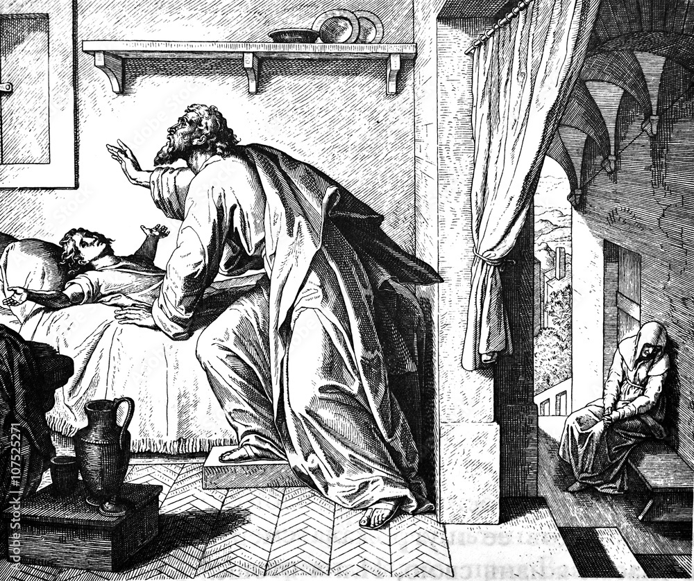 Fotografie Elijah Raises Widow's Son 1) Sacred-biblical history of the old and New Testament