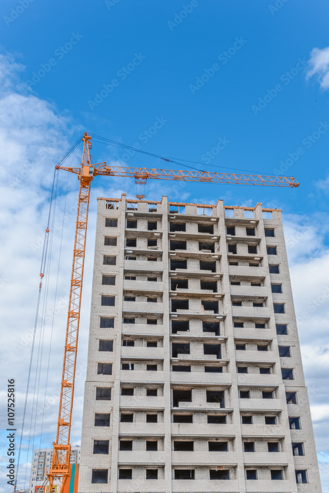 Building landscape and industrial cranes