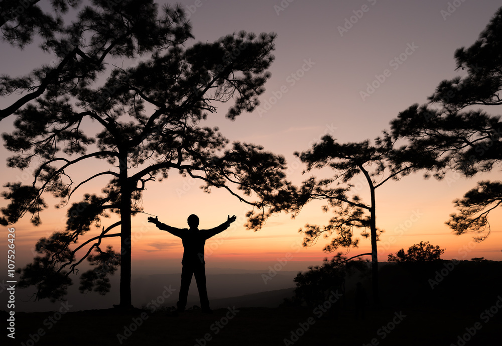 Silhouette of man spreading hand under pine tree with sunset vie