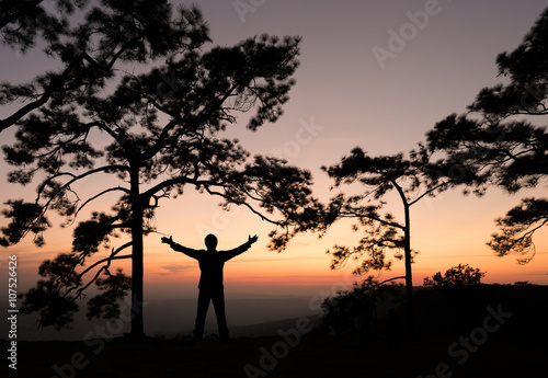 Silhouette of man spreading hand under pine tree with sunset vie
