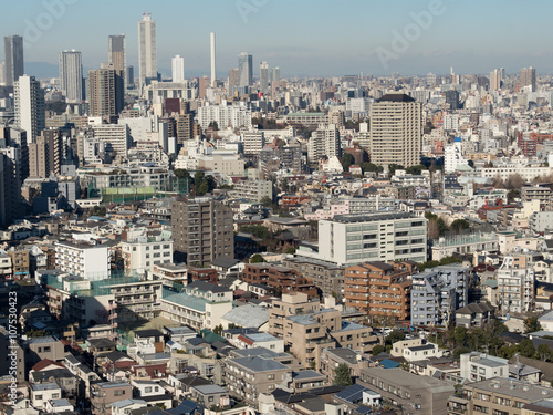 展望台から見た東京の街並み