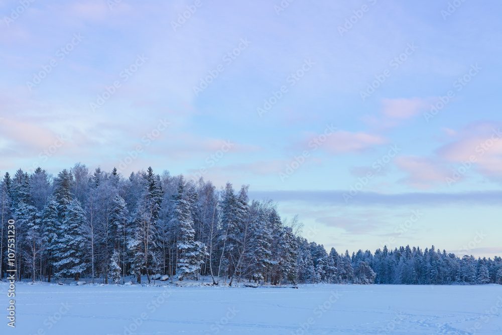 Frozen lake and snow covered forest Frozen lake and snow covered forest