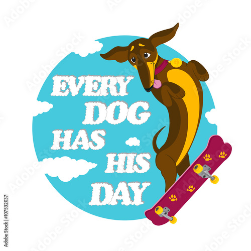 Funny dachshund dog riding on the skateboard