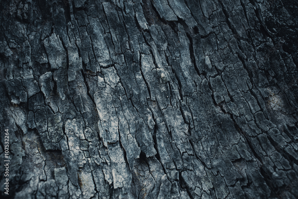 dark wooden bark tree texture for background. dark wooden bark tree texture for background.