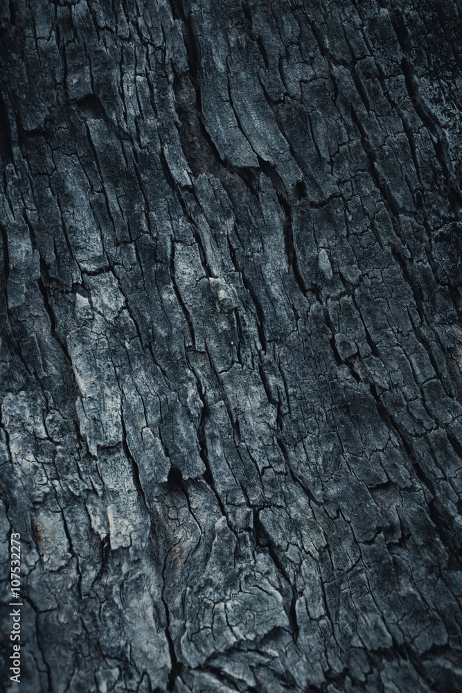 dark wooden bark tree texture for background. dark wooden bark tree texture for background.