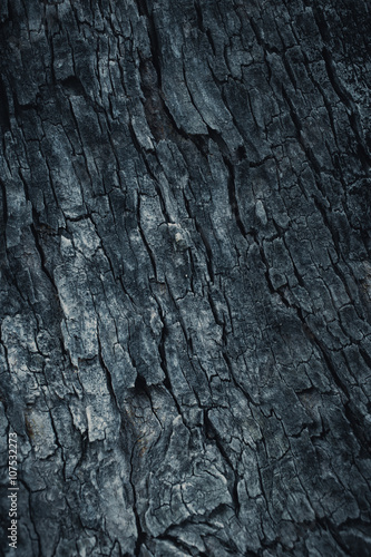 dark wooden bark tree texture for background.