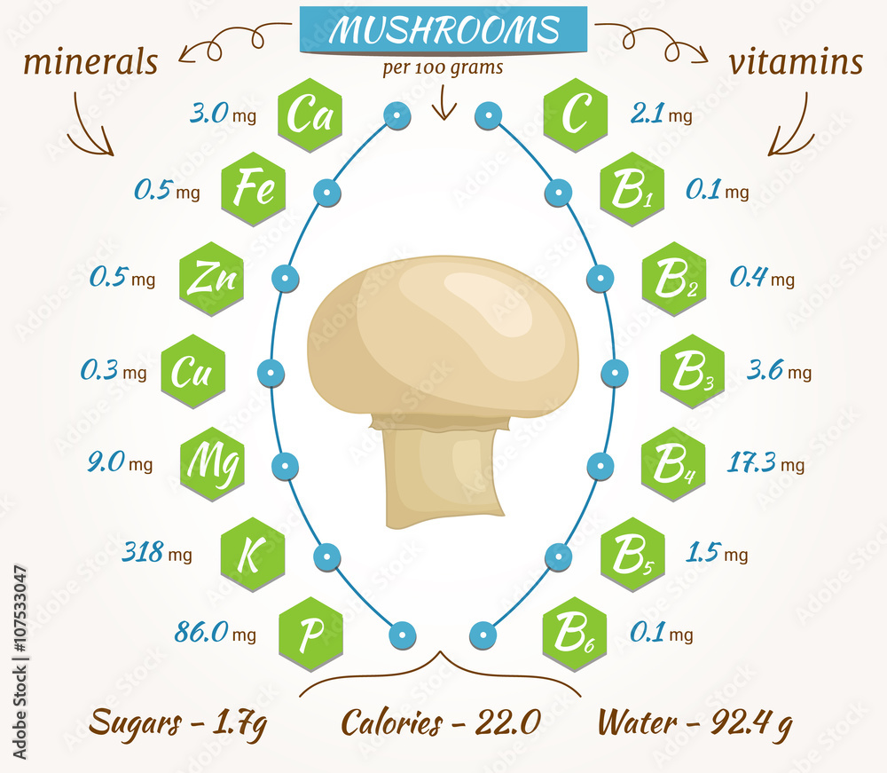 Mushrooms vector infographics. The content of minerals and vitamins in