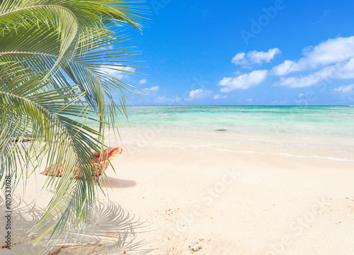 Fototapeta Naklejka Na Ścianę i Meble -  plage tropicale de l'île Maurice 