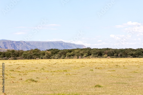 View on savanna plain before mountains against cloudy sky background. Lake Manyara National Park, Tanzania, Africa. 
