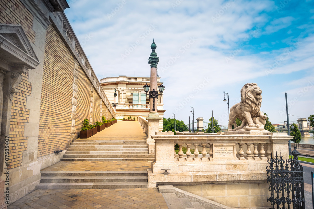 lion statue on stairs in Buda castle