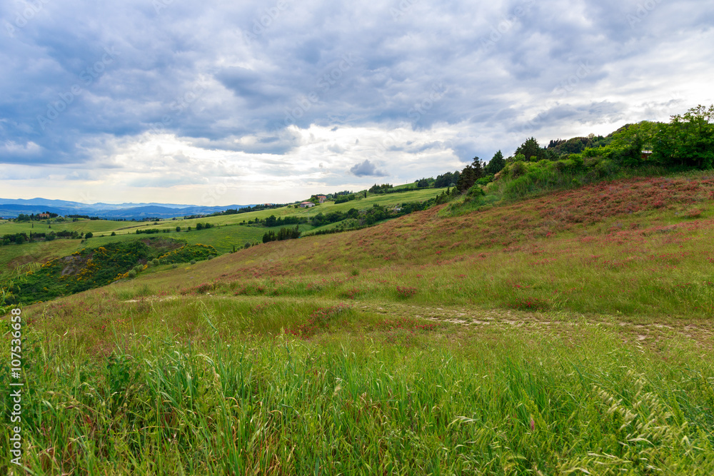 Fototapeta premium Tuscan landscape, fields and meadows near Volterra