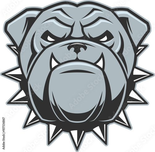 The head of a fierce bulldog
