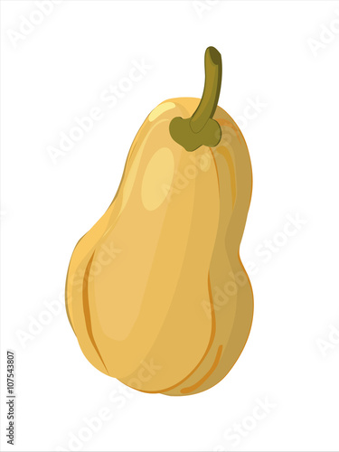 butternut squash