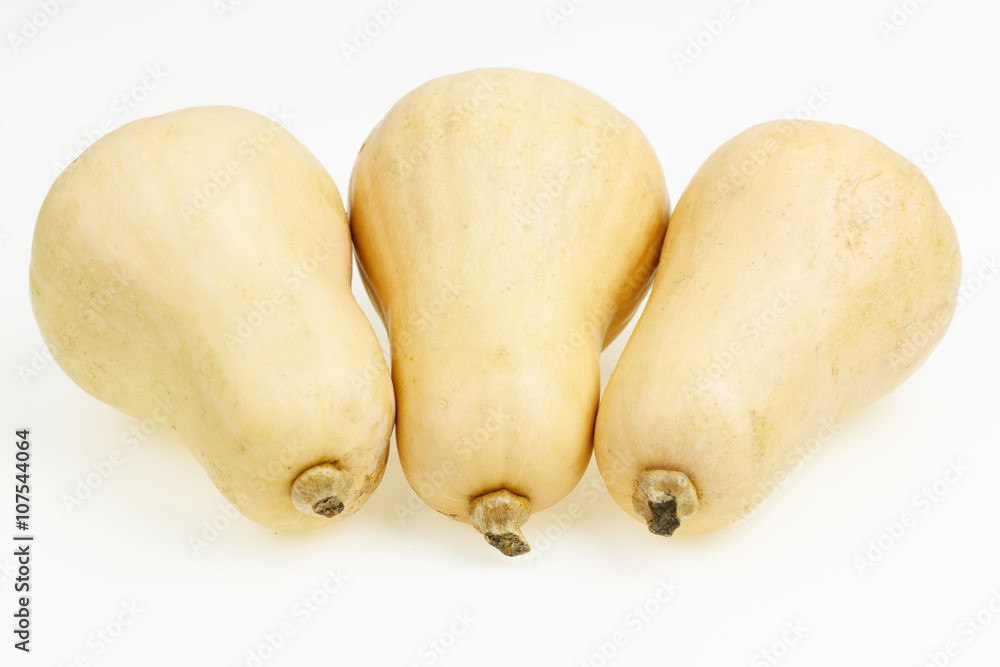 Three butternut squash fruits, on white background. Three butternut squash fruits, on white background.